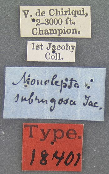 Media type: image;   Entomology 18401 Aspect: labels